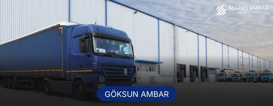 Göksun Ambar