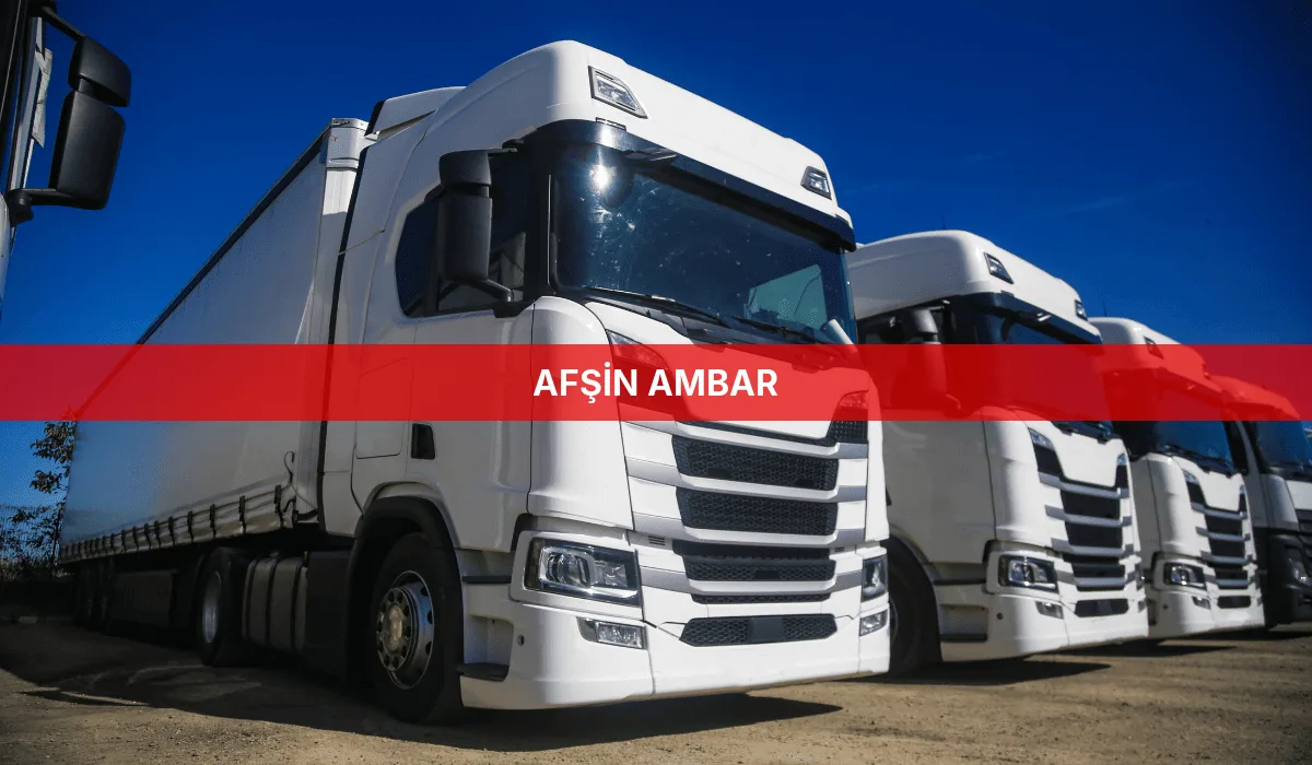 Afşin Ambar