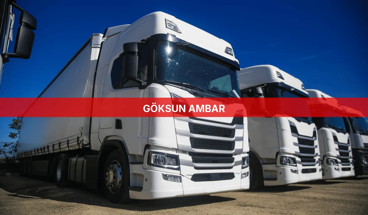 Göksun Ambar